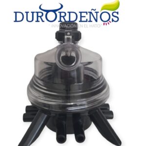 Colector marca Durordeños