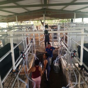 Equipo Fijo 4 puestos