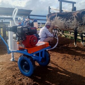 Equipo Portátil expandible a 2 puestos
